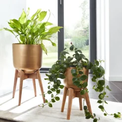 Blumentopf FineBuy Pflanzenkübel 2er Set Metall Holz Gold Rund Pflanzgefäß