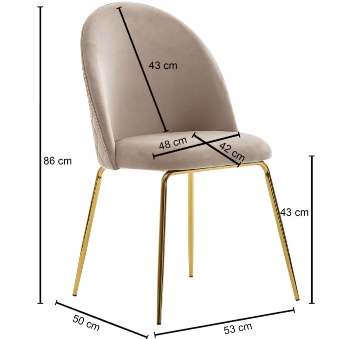 Esszimmerstuhl FineBuy Küchenstuhl 2er Set Samt Goldene Beine Schalenstuhl Stuhl