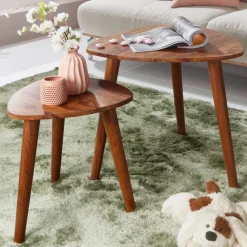 FineBuy 2er Set Beistelltisch Sheesham Holz Massiv Wohnzimmer Tisch Couchtisch