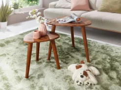 FineBuy 2er Set Beistelltisch Sheesham Holz Massiv Wohnzimmer Tisch Couchtisch