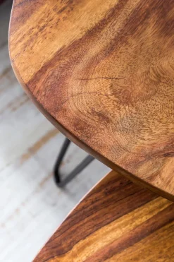 FineBuy 2er Set Beistelltisch FB51455 Sheesham Holz Metall Wohnzimmer Couchtisch
