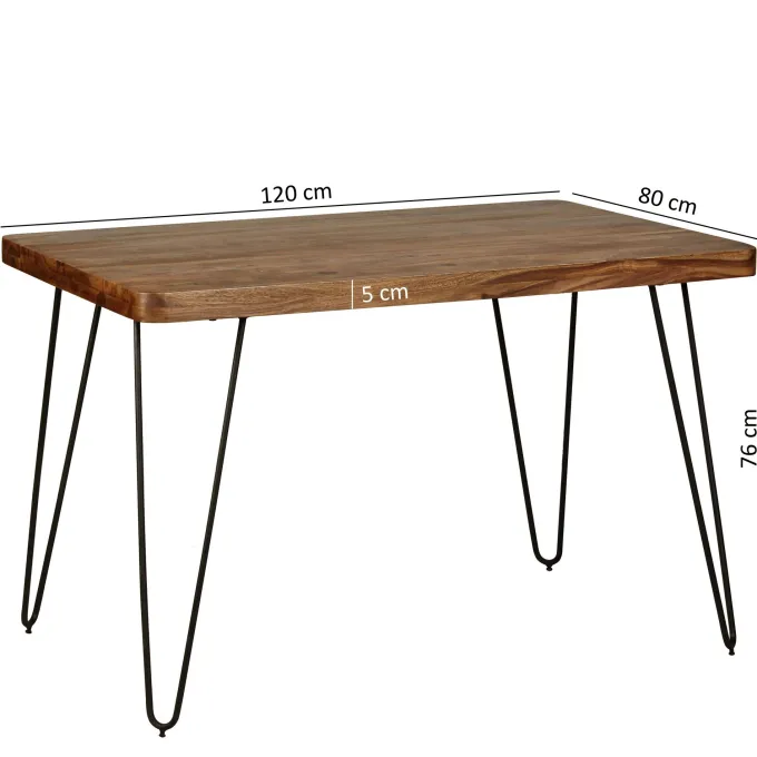 FineBuy Esstisch Massiv Esszimmertisch Holztisch Sheesham Holz Tisch
