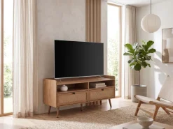 TV-Board 120cm Kommode Ablage & 2 Schubladen Wiener Geflecht Ratten Fernsehschrank Lowboard
