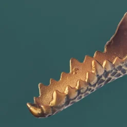 Wanddekoration Krokodil Aluminium 31 cm Wandobjekt goldfarben modern Tiermotiv