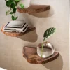 Wandregal FineBuy Pflanzentreppe 3er Set Akazie Vollholz Baumscheibe Wand
